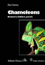 Chameleons: Nature's Hidden Jewels