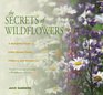 The Secrets of Wildflowers A Delightful Feast of LittleKnown Facts Folklore and History