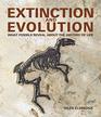Extinction and Evolution What Fossils Reveal About the History of Life