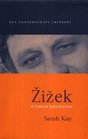Zizek A Critical Introduction