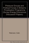 Pressure Groups and Political Forces in Britain's Privatisation Programme