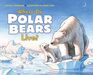 Where Do Polar Bears Live