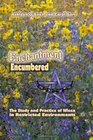 Enchantment Encumbered the Study and Practice of Wicca in Restricted Environments
