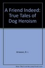 A Friend Indeed True Tales of Dog Heroism