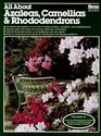 All About Azaleas Camellias  Rhododendrons