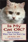 Is My Cat Ok How to Know When Your Cat Won't Say