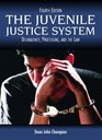 The Juvenile Justice System Delinquency Processing and the Law Fourth Edition