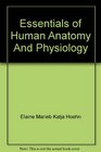 Human Anatomy  Physiology 7th Edition