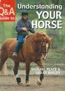 The Qa Guide to Understanding Your Horse