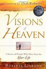 Visions of Heaven 4 Stories of People Who Have Seen the AfterLife