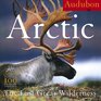 Audubon Arctic The Last Great Wilderness Calendar 2007