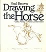 Drawing the horse Gaits points and confirmation