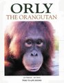 Orly the Orangutan