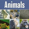 Animals Encyclopaedia Britannica