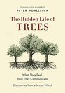The Hidden Life of Trees What They Feel How They CommunicateDiscoveries from a Secret World