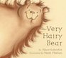 Very Hairy Bear board book
