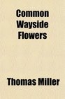 Common Wayside Flowers