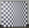 Bridget Riley Paintings From the 1960s and 70s