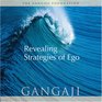 Revealing Strategies of Ego