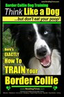Border Collie Dog Training  Think Like a Dog But Don't Eat Your Poop Here's EXACTLY How To Train Your Border Collie