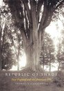 Republic of Shade New England and the American Elm
