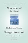 November of the Soul The Enigma of Suicide