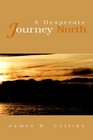A Desperate Journey North