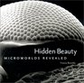 Hidden Beauty  Microworlds Revealed