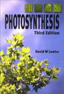 Photosynthesis Molecular Physiological and Environmental Processes