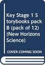 Key Stage 1 Storybooks pack B