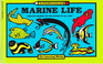 Marine Life Creative Drawing Fun for Artists of All Ages
