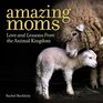 Amazing Moms Love and Lessons From the Animal Kingdom