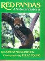 Red Pandas A Natural History