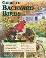 Guide to Backyard Birds