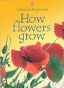 How Flowers Grow (Usborne beginners series)