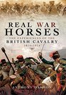 Real War Horses The Experience of the British Cavalry 1814  1914