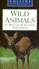 Wild Animals of Britain  Europe
