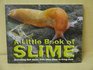 A Little Book of Slime Everything That Oozes From Killer Slime To Living Mold