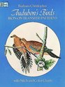 Audubon's Birds IronOn Transfer Patterns
