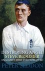 Steve Bloomer Destroying Angel