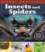 Insects and Spiders