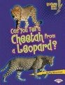 Can You Tell a Cheetah from a Leopard