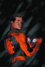 Amazing SpiderMan Vol 2 Revelations