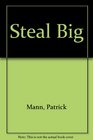 Steal Big