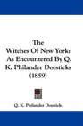 The Witches Of New York As Encountered By Q K Philander Doesticks