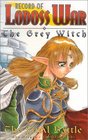 The Final Battle (Record of Lodoss War: The Grey Witch, Vol 3)