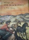 Year of the Black Pony