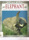 Elephant: Habitats, Life Cycles, Food Chains, Threats (Natural World Series)