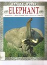 Elephant Habitats Life Cycles Food Chains Threats