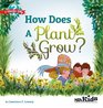 How Does a Plant Grow